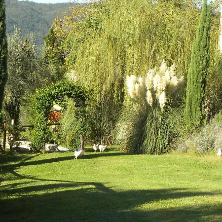Country Il Frassine בית חווה Rignano sullʼArno