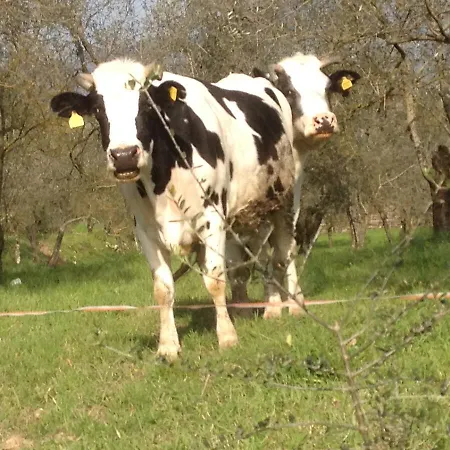 Country Il Frassine