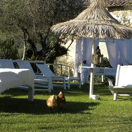 Alojamento de Turismo Rural Country Il Frassine Rignano sullʼArno