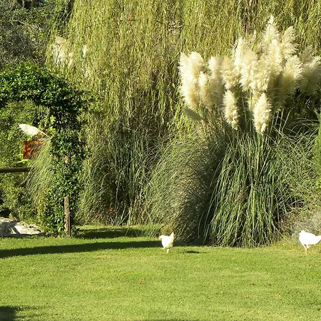 Country Il Frassine مزرعة للإقامة